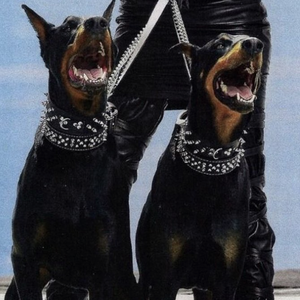 偷拍大白天夫妻性对白
